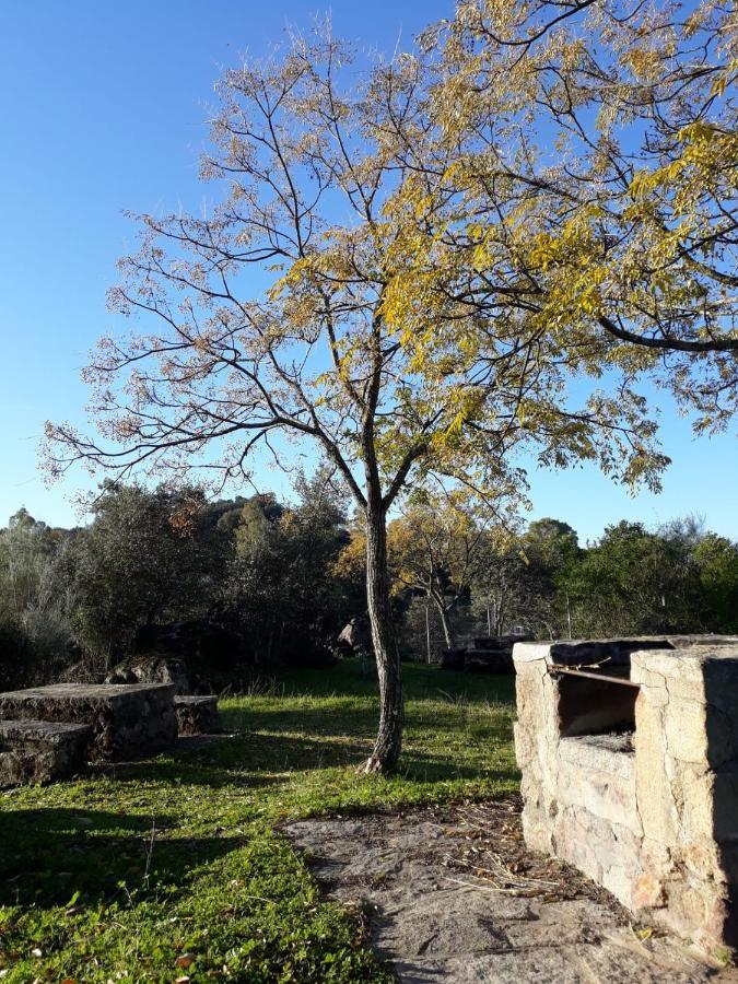 Albergue Alagon Natura Valdeobispo Esterno foto